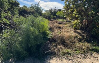 REMEDIOS DE ESCALADA DE SAN MARTIN AL 800