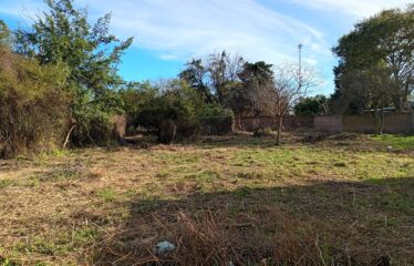 REMEDIOS DE ESCALADA DE SAN MARTIN AL 800