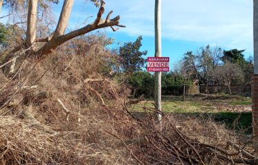 REMEDIOS DE ESCALADA DE SAN MARTIN AL 800