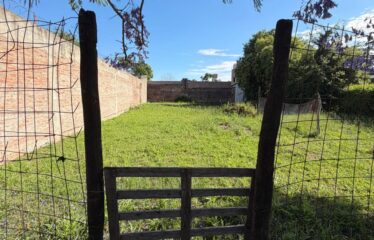 LISANDRO DE LA TORRE 1200 – SANTO TOME