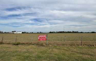 HECTAREAS EN SAN AGUSTIN