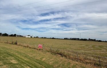 HECTAREAS EN SAN AGUSTIN