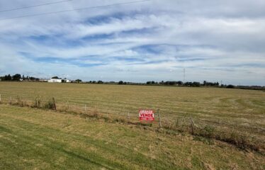 HECTAREAS EN SAN AGUSTIN