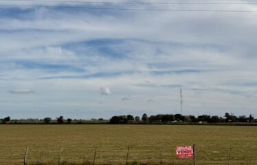 HECTAREAS EN SAN AGUSTIN