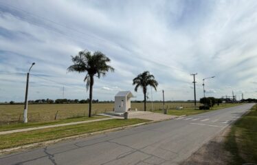 HECTAREAS EN SAN AGUSTIN