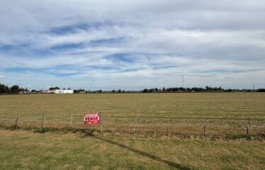 HECTAREAS EN SAN AGUSTIN