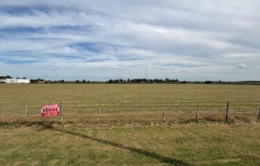 HECTAREAS EN SAN AGUSTIN