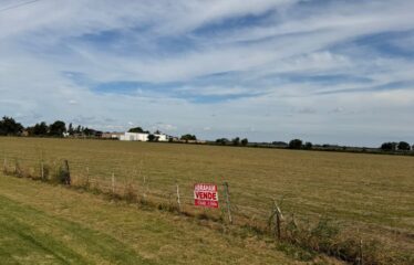 HECTAREAS EN SAN AGUSTIN