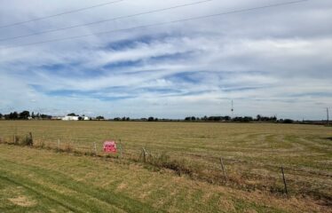 HECTAREAS EN SAN AGUSTIN