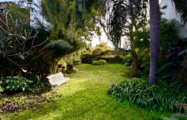 GUEMES 2070 – SANTO TOME