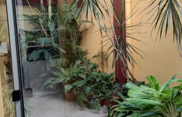 AVENIDA 7 DE MARZO & GUEMES – SANTO TOME